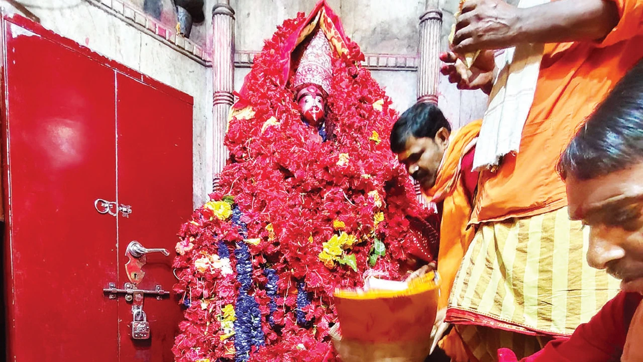 তারাপীঠে আবির্ভাব তিথি ও কোজাগরী লক্ষ্মীপুজো ঘিরে পুণ্যার্থীদের ঢল