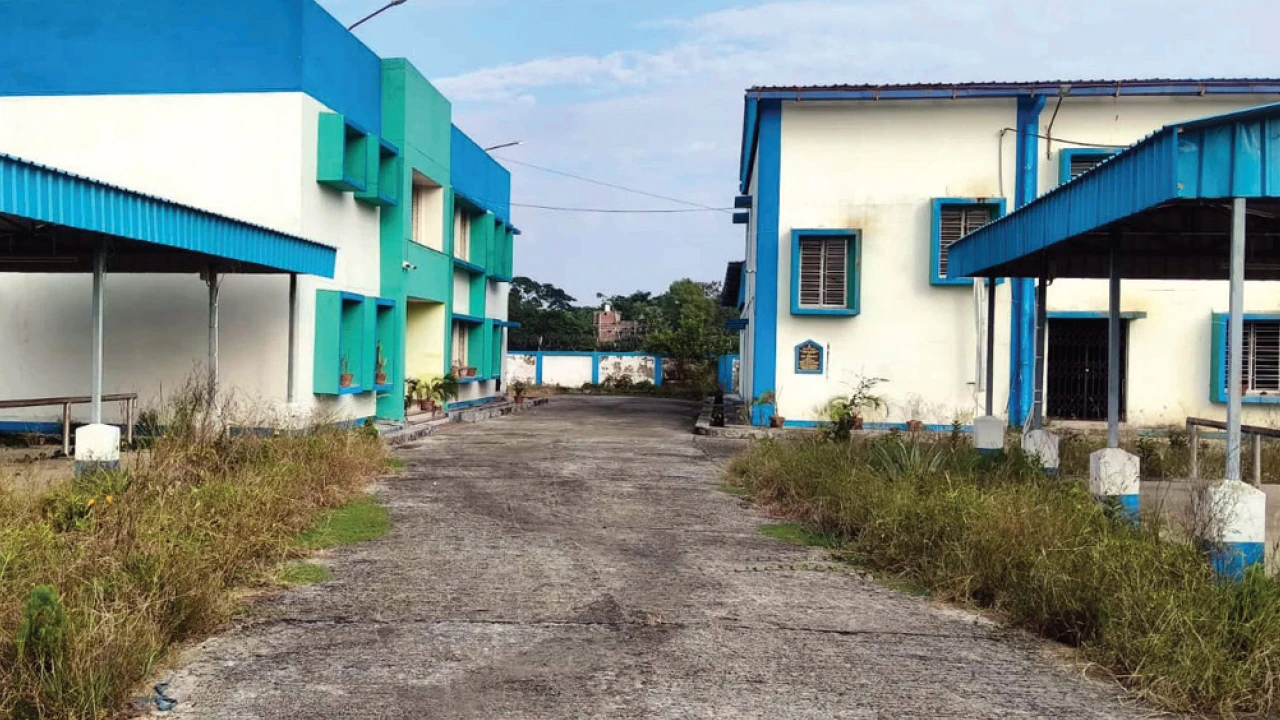 দীপাবলির আগে অন্ধকারে ‘মাদুর হাব’, সবংয়ে কর্মহীন শতাধিক মহিলা