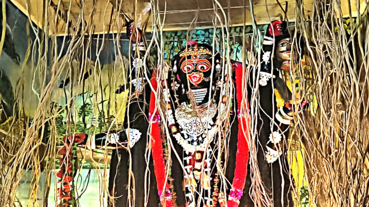 মৃত মানুষ ও বানরের খুলি থাকে শান্তিপুরের পাতালকালীর চরণে, গর্ত খুঁড়ে চলছে পুজো