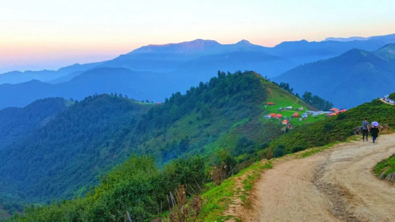 পুজোয় পর্যটকদের কাছে ‘সুপারহিট’ দাওয়াইপানি, পাইনবন, পাখির কোলাহল, কাঞ্চনজঙ্ঘায় স্বর্গের অনুভূতি