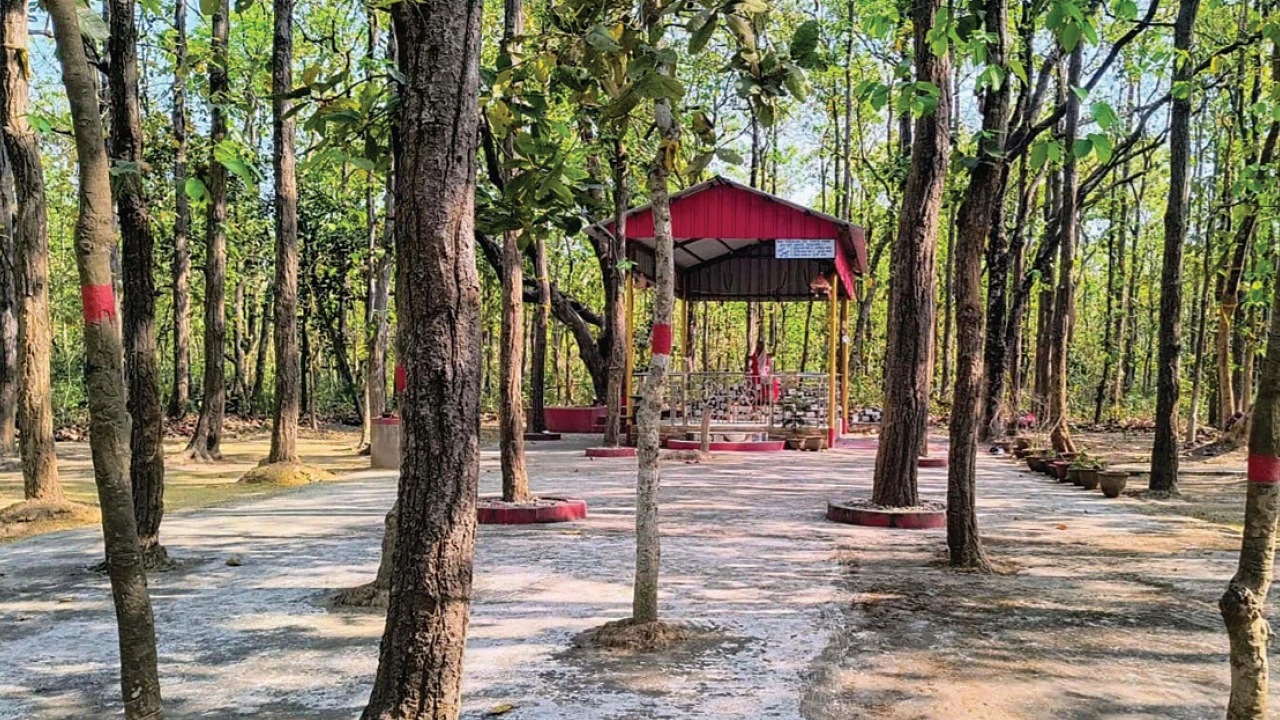 কলেরায় বিলীন গ্রাম, আদুরিয়ার জঙ্গলে শালকো কালী মহামারী ইতিহাসের সাক্ষী