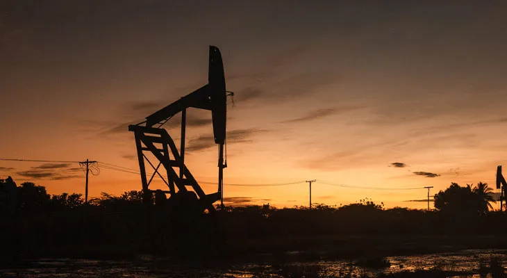 वेनेजुएला के तेल खजाने पर अब निजी कंपनियों का कब्जा डेलसी रोड्रिगेज ने कानून पर किए हस्ताक्षर