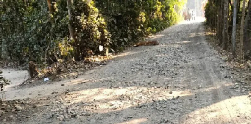 দেগঙ্গায় হাসপাতালে যাওয়ার  রাস্তা বেহাল, সারাইয়ের দাবি