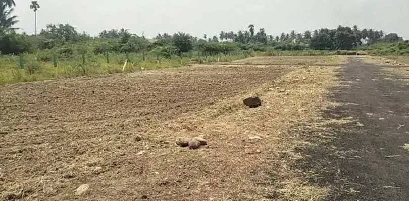 ইসিএলের প্রজেক্ট সম্প্রসারণের খবর পেয়ে সালানপুরের কল্ল্যায় জমি দখল মফিয়াদের