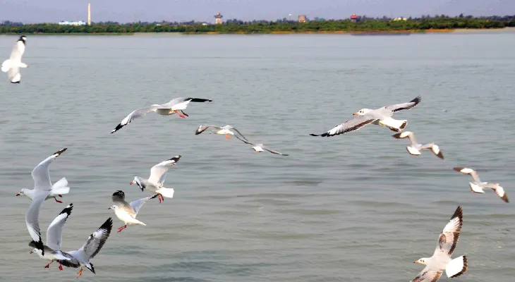 গঙ্গাসাগর সেতু প্রকল্পে এবার যুক্ত  হচ্ছে ডেনমার্কের বিশেষজ্ঞ সংস্থা, লক্ষ্য নিরাপত্তা