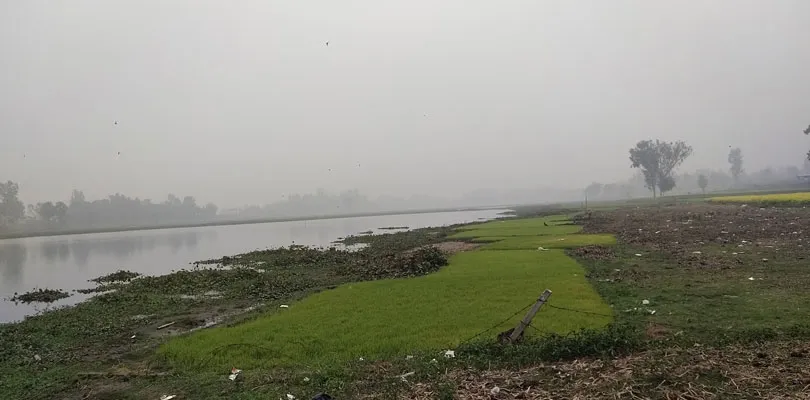 রাজস্ব ফাঁকি দিয়ে হরিরামপুরের গৌড়দিঘি ও মালিয়ান দিঘিতে চলছে দেদার মাছচাষ, আন্দোলনে নামছে কংগ্রেস