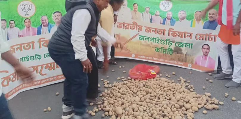 আলুর দাম না পাওয়ার অভিযোগে জলপাইগুড়িতে রাস্তায় আলু ফেলে বিক্ষোভ