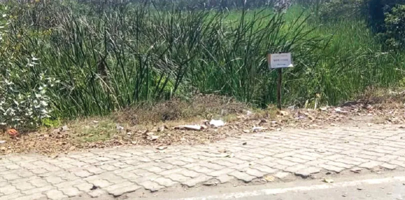 বুড়ুল থেকে কলকাতাগামী বাসের  সংখ্যা বাড়ানোর দাবি নিত্যযাত্রীদের