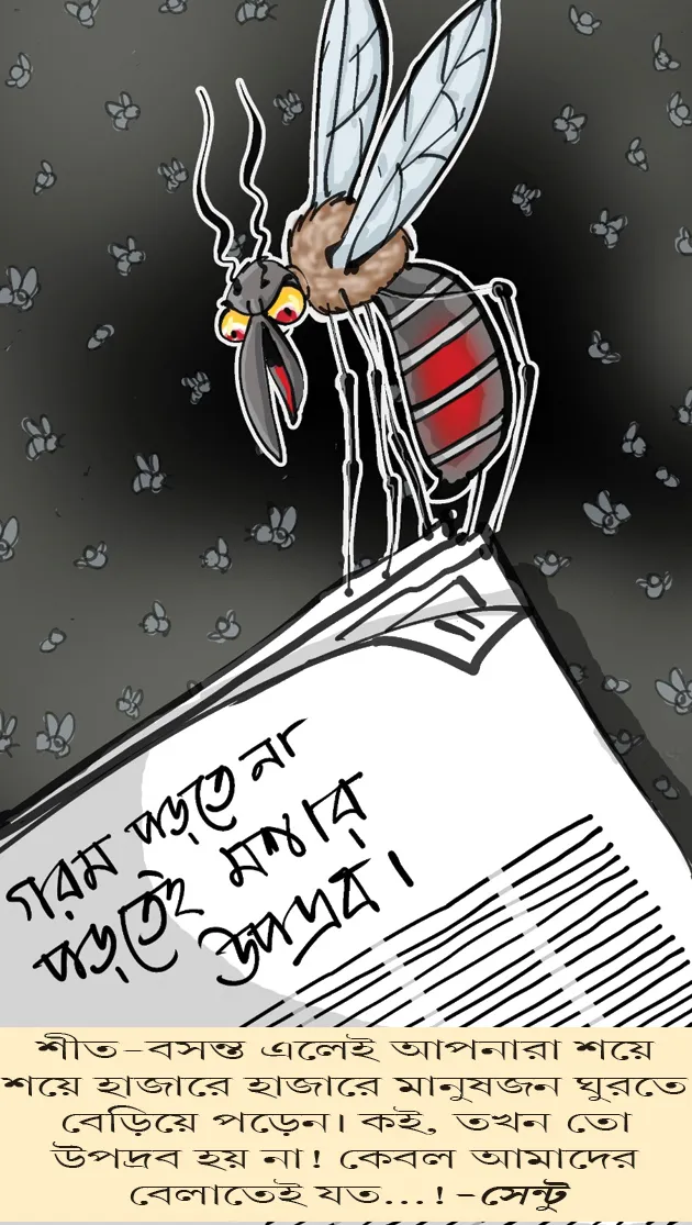মজারু