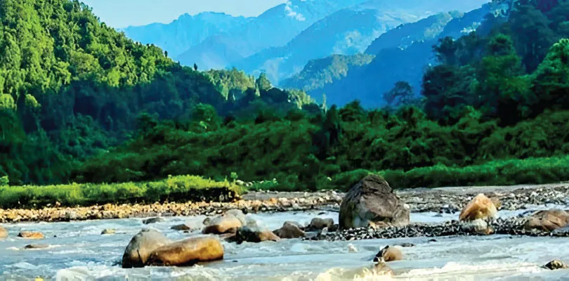 ডুয়ার্সের অচিন গ্রাম ডামডিম