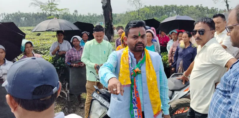 কালচিনির সেন্ট্রাল ডুয়ার্স চা বাগানে প্রচার তৃণমূল প্রার্থী বীরেন্দ্র বড়া ওঁরাওয়ের