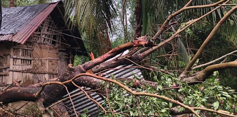 কালবৈশাখীর ঝড়ে আমতা ২ নং ব্লকে ব্যাপক ক্ষয়ক্ষতি