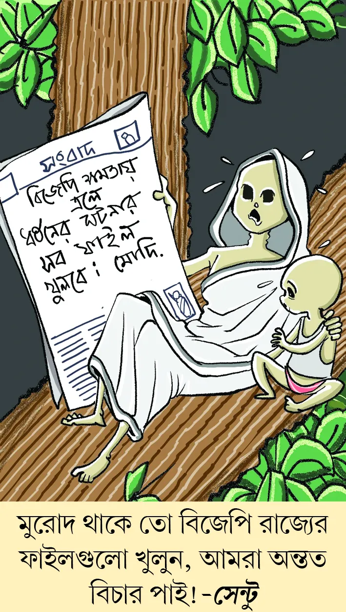 মজারু