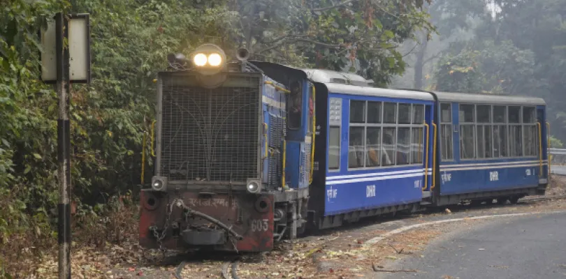 হোয়াইট অর্কিড ভূমি কার্শিয়াংয়ে টয় ট্রেনে বিশেষ ভ্রমণের সূচনা, দেখানো হবে চা বাগান, বনাঞ্চল, মিউজিয়াম