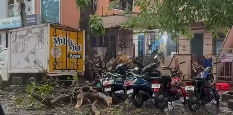 বেঙ্গালুরুতে ব্যাপক বৃষ্টি, উইলসন গার্ডেন রোডে ভেঙে পড়ল গাছ, ক্ষতিগ্রস্ত একাধিক বাইক-গাড়ি