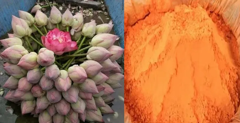 ফুলবাজারে পদ্ম-বড়বাজারে আবির, আচমকা বাড়ল চাহিদা