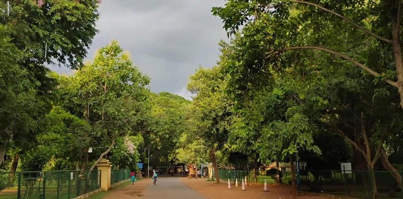 বোলপুর-শান্তিনিকেতনে কালো মেঘে ঢাকল আকাশ, শুরু প্রবল ঝড়-বৃষ্টি ও বজ্রপাত