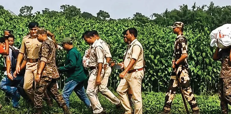 কর্মাধ্যক্ষের ঘরেও টাকা-অস্ত্র, পুর চেয়ারম্যানের জমির নীচে আরও টাকার বস্তা, ট্রলি