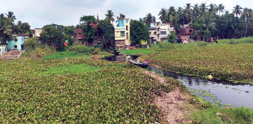 সাফাই করতে হবে নদীর উৎস মুখ,  ইছামতী সংস্কারে জোর রাজ্য সরকারের