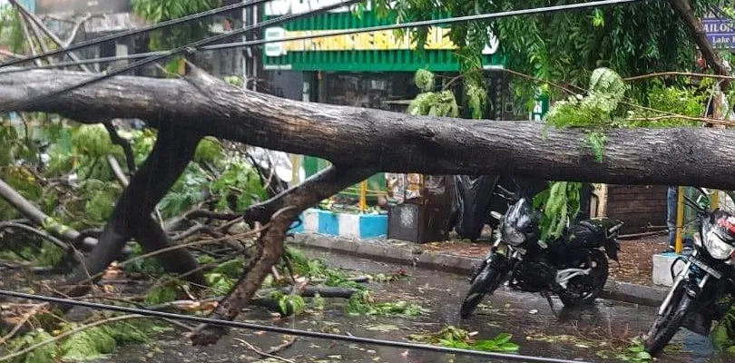রাজ্যে প্রবল ঝড়-বৃষ্টিতে ৭ জন প্রাণ হারিয়েছেন, জানালেন মুখ্যমন্ত্রী শুভেন্দু অধিকারী
