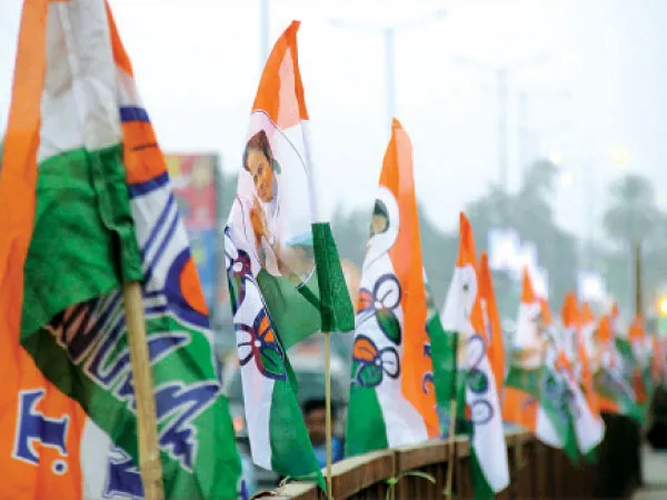উৎসব পর্ব মিটলেই সংগঠনে রদবদল, তৃণমূলের অন্দরে চর্চা