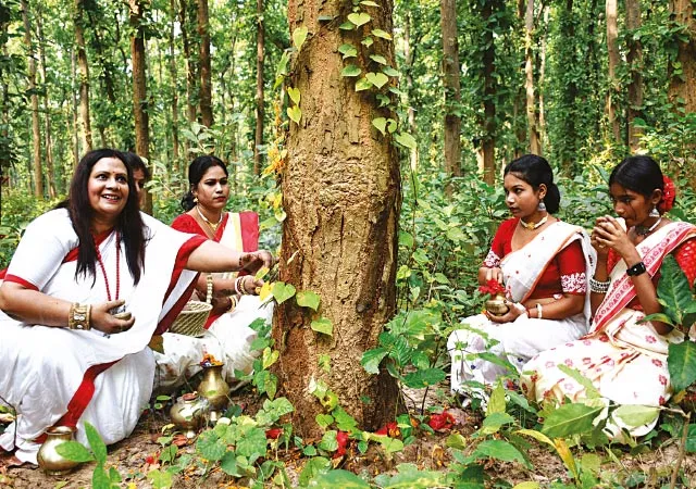 ভাই মেনে ফোঁটা দিয়ে অরণ্য রক্ষার শপথ নিলেন ঝাড়গ্রামের মহিলারা