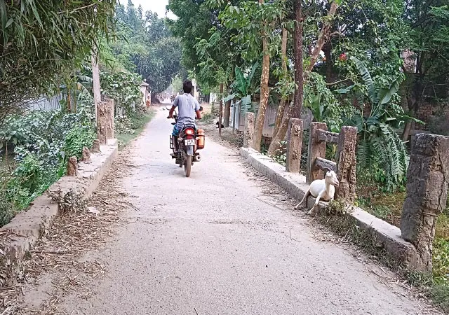 পাঁচ বছর ধরে সেতুর রেলিং ভাঙা, দুর্ঘটনার আশঙ্কা কাওয়ামারিতে