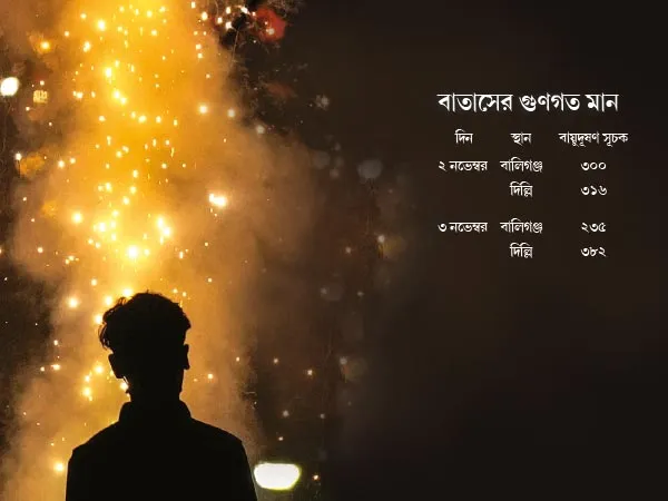 কালীপুজো-দীপাবলি মিটতেই বায়ুদূষণে দিল্লিকে ছুঁল বালিগঞ্জ