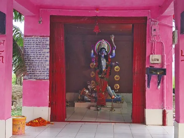 অষ্টমঙ্গলা কালীপুজো ঘিরে উত্সবের আবহ চোপড়ায়