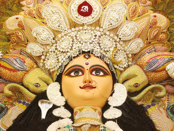 উর্দিবাজারে ৮ হাজার চারাগাছ দিয়ে মণ্ডপ তাঁতের শাড়ির প্যান্ডেল দৈবকপাড়ায়