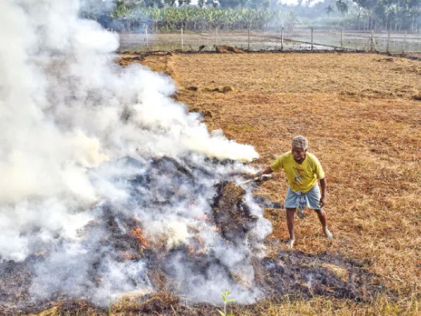 নাড়া পোড়ানো: জরিমানার অঙ্ক দ্বিগুণ করে দিল কেন্দ্র