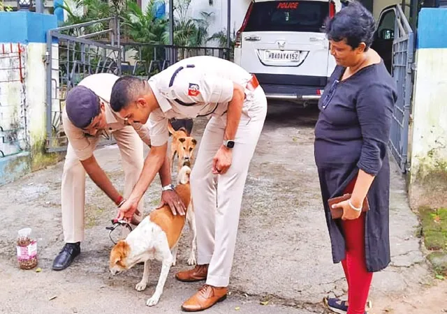 দুর্গাপুরে সারমেয়দের দুর্ঘটনা থেকে রক্ষা করতে পরানো হল বিশেষ কলার বেল্ট