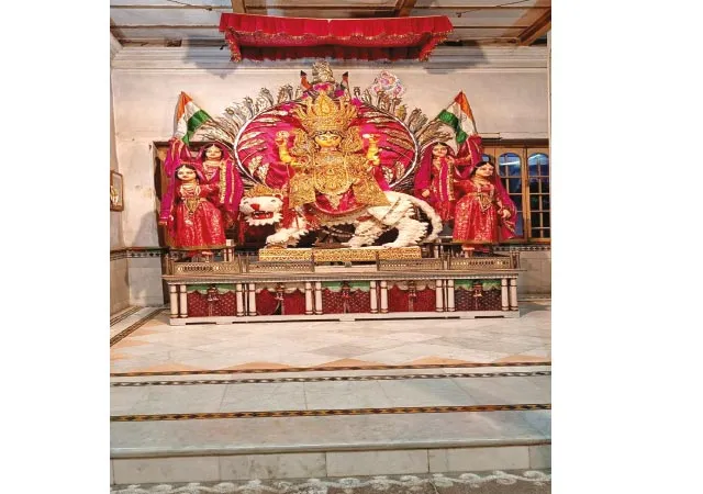 আকন্দ-আঠার তুলো দিয়ে তৈরি হয় ধবধবে সাদা সিংহ