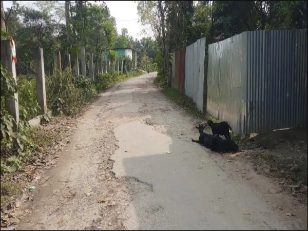 আড়াই কিমি রাস্তা দীর্ঘদিন বেহাল, সংস্কারের দাবি জানিয়েও কাজ হয়নি