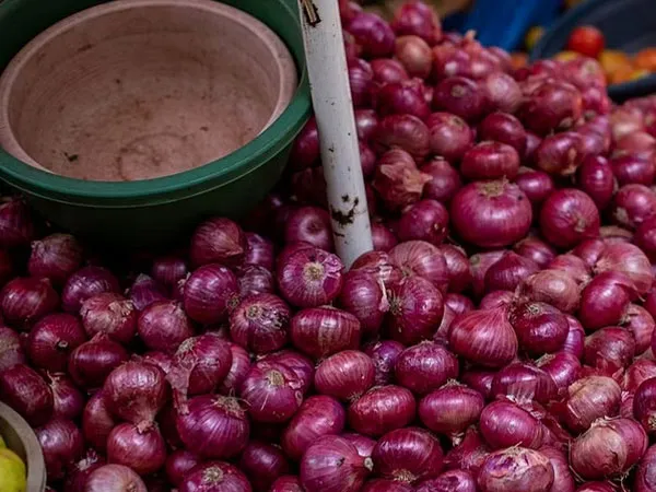 আরও বাড়ছে পেঁয়াজের দাম, মহারাষ্ট্রে নির্বাচনকেই দায়ী করছেন বিশেষজ্ঞরা