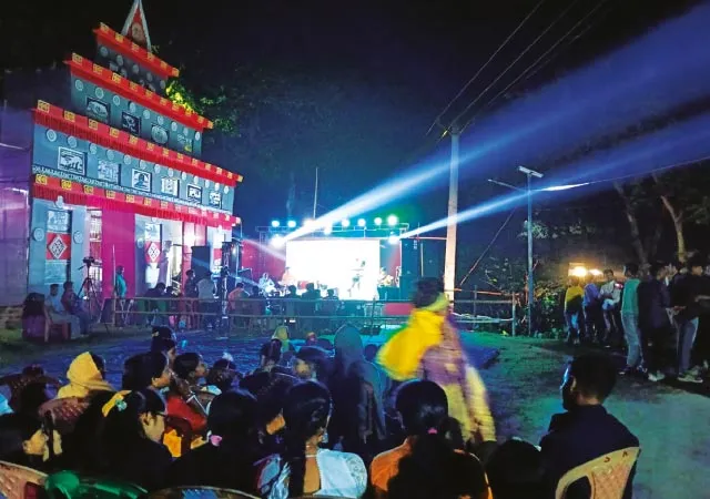 কুলিক পক্ষীনিবাসের পাশে বক্স বাজিয়ে বিনোদনের আসর, বিতর্ক