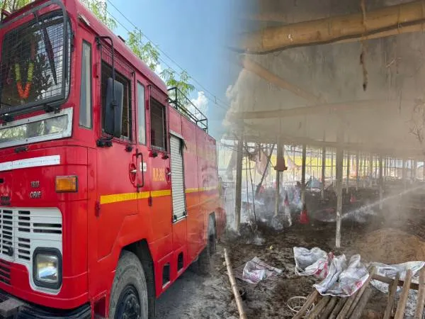 পোল্টি ফার্মের আগুনে পুড়ে মরল দেড় হাজারের বেশি মুরগি, ব্যাপক ক্ষতি