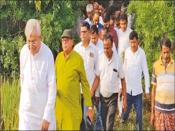 ধানের ক্ষতিপূরণে ক্রপ কাটিংয়ে জোর মন্ত্রীর