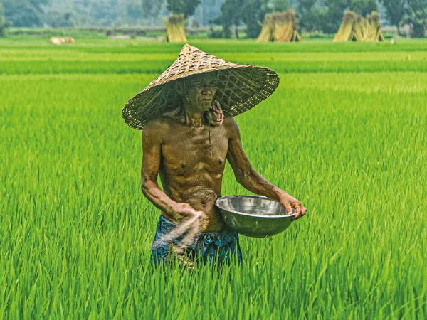 সরকারি দাম ১৪৭০, বিক্রি হচ্ছে দু&rsquo;হাজারে, সারের কালোবাজারিতে মাথায় হাত কৃষকদের