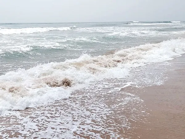 ওড়িশার সোনালি সৈকত