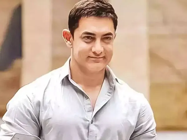 আমিরের উপলব্ধি