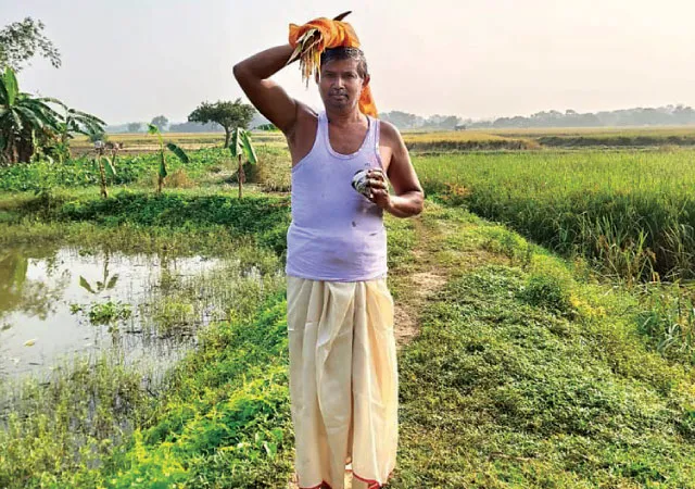 মুঠোলক্ষ্মী পুজোয় মাতলেন রামপুরহাটের কৃষকরা