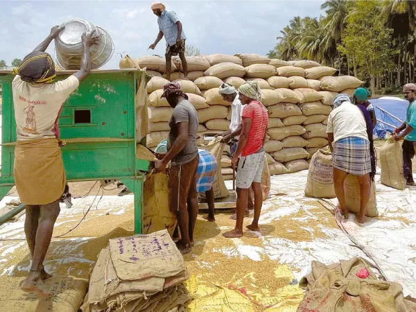 ঝাড়গ্রামে এবার ২ লক্ষ মেট্রিক টন ধান কেনার লক্ষ্যমাত্রা প্রশাসনের