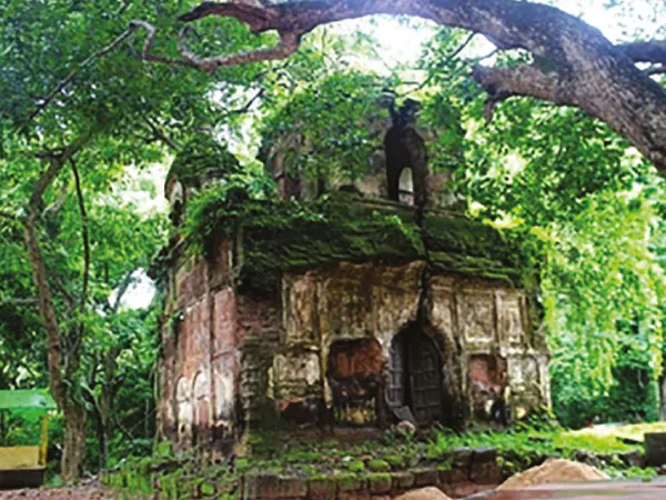 শীতের শুরুতেই চিল্কিগড়ের কনক দুর্গামন্দির ও অরণ্যে পর্যটকদের ভিড়, আসছে পরিযায়ী পাখিরা