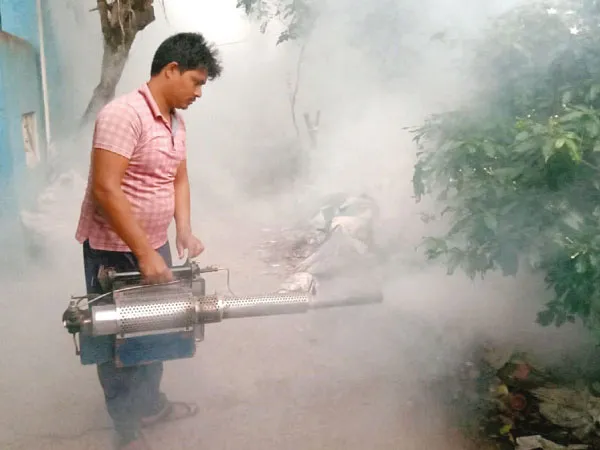 আক্রান্ত মাত্র ১৭, কাকদ্বীপে ডেঙ্গু প্রতিরোধে সিংহভাগ সফল প্রশাসন