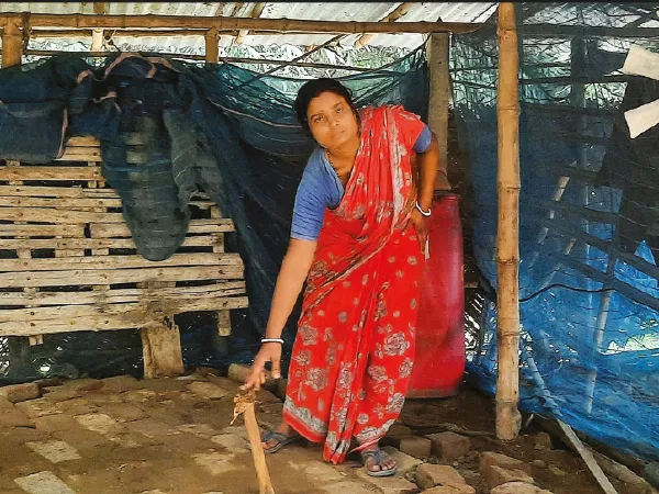 রানাঘাটে একই রাতে ৭টি বাড়ি থেকে ৯টি গোরু চুরি