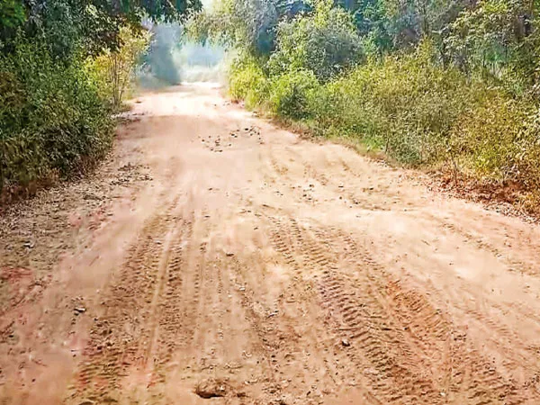 অণ্ডালের পলাশবনে যাওয়ার প্রধান রাস্তা পাকা করার দাবি