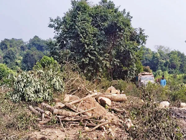 দামোদরের পাড়ে জঙ্গলে গজিয়ে উঠছে বালি, বোল্ডারের ক্র্যাশার, অভিযান চালাল বনদপ্তর