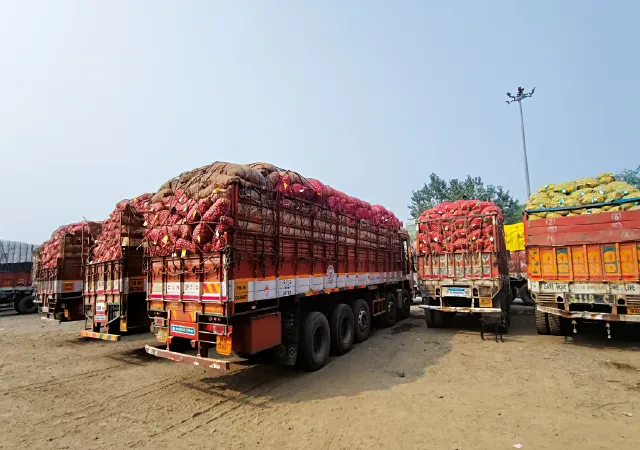 স্লট বুকিং বন্ধ সুবিধা পোর্টালে, সীমান্তে দাঁড়িয়ে আলু, পেঁয়াজ বোঝাই বহু লরি