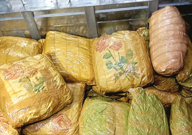 বহড়ুতে উদ্ধার ৫০ লক্ষ টাকার গাঁজা